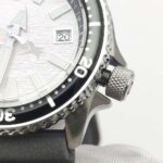 Silver Wave Diver - Image 4
