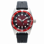 Gradient Dial Automatic Watch
